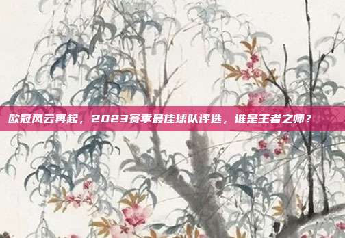 欧冠风云再起，2023赛季最佳球队评选，谁是王者之师？🌟